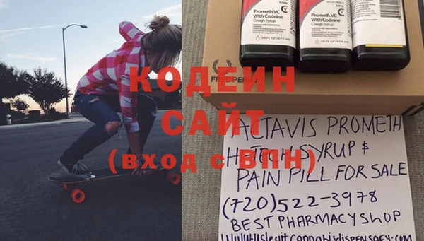 шишки Балахна
