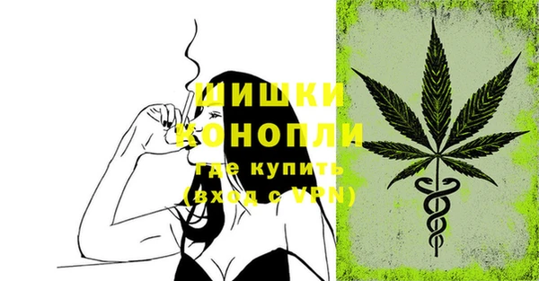 шишки Балахна