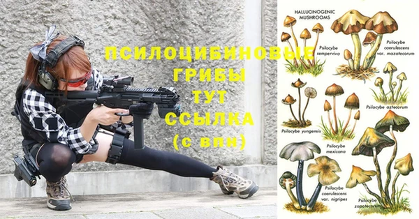 мдпв Баксан