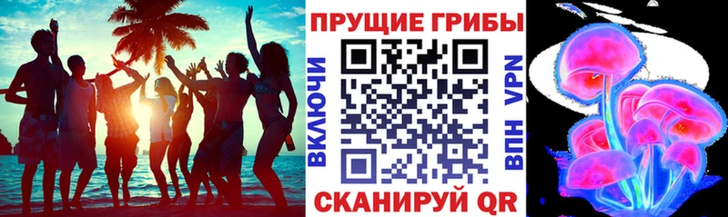 Псилоцибиновые грибы мухоморы  Бахчисарай 